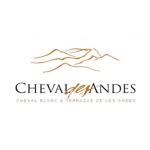 Cheval des andes